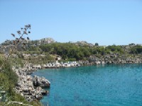 Rhodes